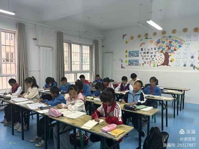 书法 ,美术,架子鼓 ,钢琴,二胡 ,葫芦丝,声乐,中小学生校外托管
