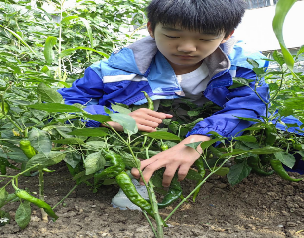 淮河中学精心开展"暑期托管服务"纪实